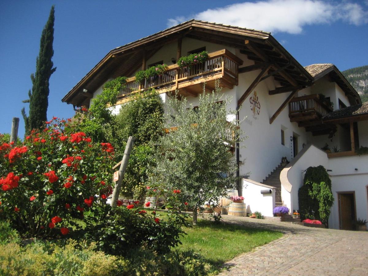 Gfillhof Ferienwohnung 1 Appiano Sulla Strada Del Vino Exterior foto