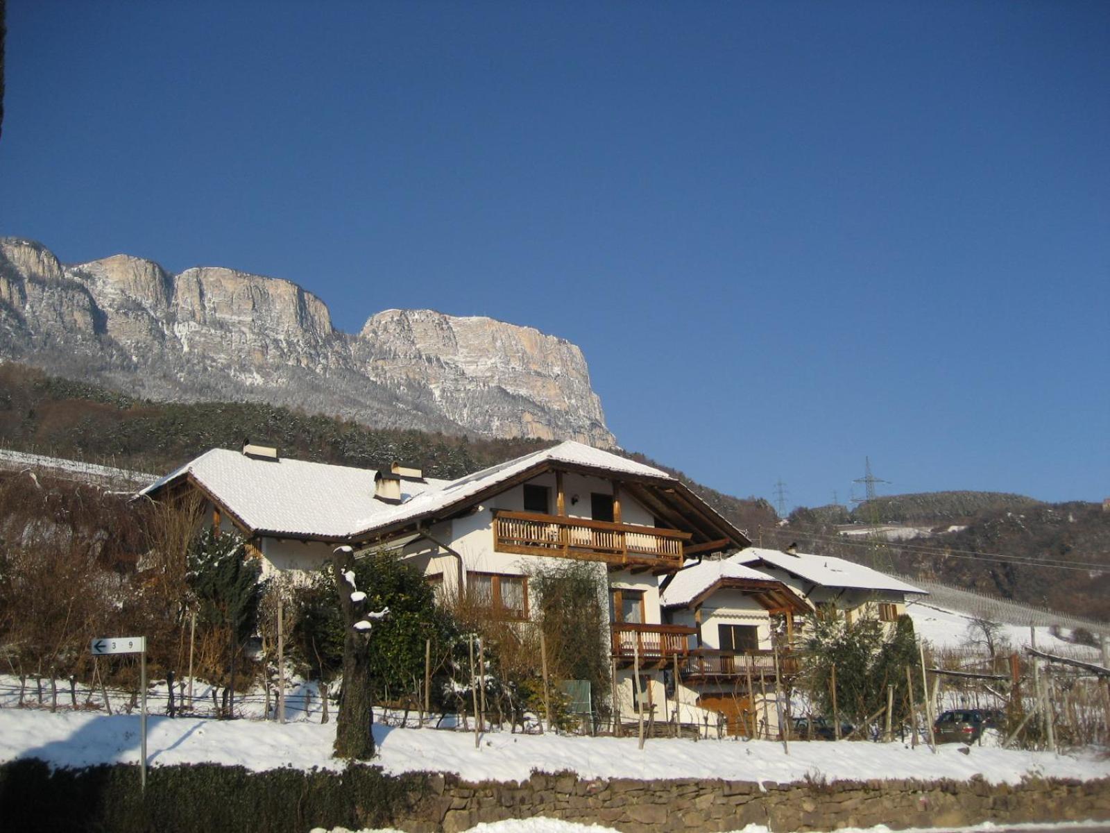 Gfillhof Ferienwohnung 1 Appiano Sulla Strada Del Vino Exterior foto